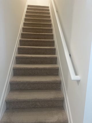 A well-lit staircase with plush beige carpeting and a sleek white handrail.