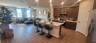 A modern open-concept kitchen and living area with warm wood floors, sleek cabinetry, and stylish decor.