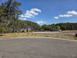 Scenic wooded views in Edwards Creek Estates by SEDA New Homes, Jacksonville, FL.