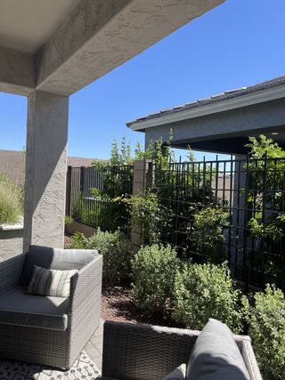 A cozy patio with wicker seating, lush greenery, and a serene atmosphere under a clear blue sky.