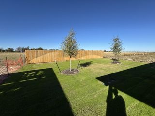 A spacious backyard with young trees and a wooden fence in Eastern Wells by D.R. Horton (Jarrell, TX).
