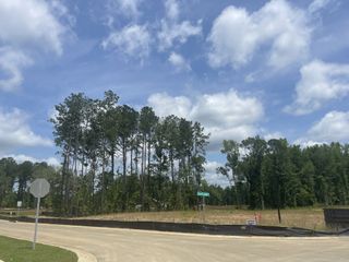 Scenic woodland surrounds a development site in Pineview North by D.R. Horton, Summerville, SC.