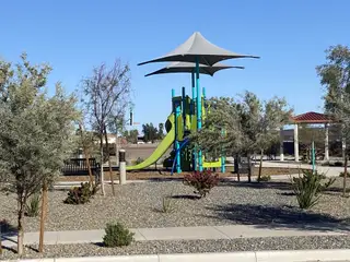 A vibrant playground with slides and shade trees in Stonefield by Homes by Towne, Surprise, AZ.