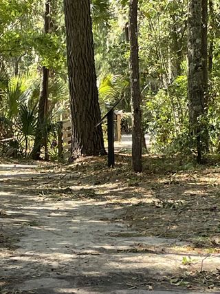 Community Amenities A serene forest pathway with lush greenery in the Enclave at Palmetto Fort by Homes by Dickerson (Mount Pleasant, SC).