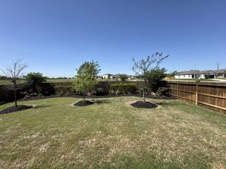 A lush backyard with young trees and a wooden fence in Blue Ridge Ranch by Legend Homes (San Antonio, TX).