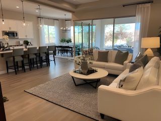 An elegant open-concept living room with a cozy seating area, modern kitchen, and large windows offering abundant natural light.