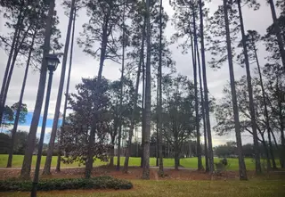 A scenic golf course view with a tranquil pond and lush greenery, perfect for enjoying nature in Amelia National by ICI Homes.