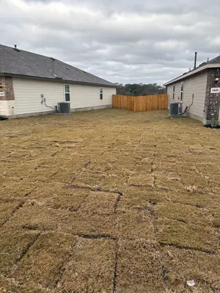 Newly sodded spacious backyard in Riverstone at Westpointe by D.R. Horton, San Antonio, TX, flanked by modern homes.