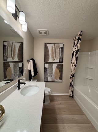 Model Home A chic bathroom with a sleek vanity, abstract artwork, and a stylish shower curtain accenting the serene space.