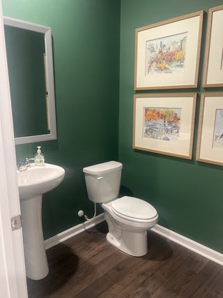 A charming bathroom with green walls, framed art, and wood flooring. Features a sleek pedestal sink and modern fixtures.