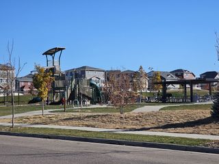 A charming park with a playground and picnic area in Erie Highlands by Oakwood Homes Co (Erie, CO).