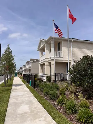A charming streetscape with modern homes and well-maintained landscaping in Harvest at Ovation by Taylor Morrison (Winter Garden, FL).