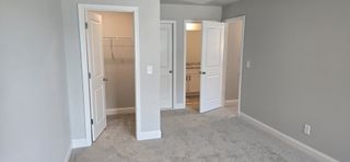 A cozy carpeted room with neutral walls, open doors leading to a closet and bathroom, and ample natural light.