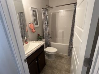 A cozy bathroom featuring a patterned shower curtain, dark wood vanity, and modern fixtures.