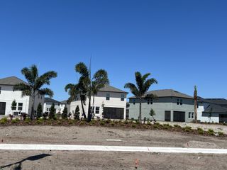 Newly built modern homes with palm trees in Stonegate Preserve: The Executives by Lennar, Palmetto, FL.