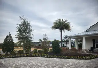 A charming landscape with palm trees and cozy homes in Del Webb Wildlight by Del Webb (Wildlight, FL).