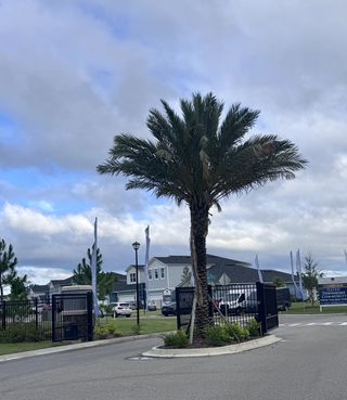 Street view Gated entrance with palm trees in Cherry Elm at SilverLeaf by Dream Finders Homes, St. Augustine, FL.