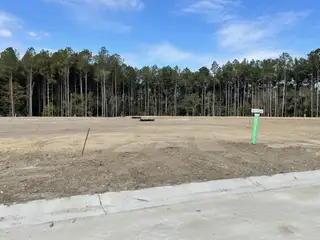 Expansive cleared land with surrounding forest in Ashley Walk Townes by Beazer Homes (Charleston, SC).