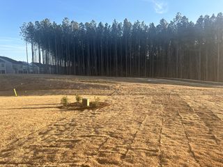 A picturesque landscape in Carolina Springs: Sterling Collection by Lennar, featuring open fields and tall trees (Apex, NC).