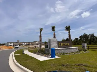 The welcoming entrance of Harvest at Ovation, featuring a vibrant sign and palm trees by Taylor Morrison (Winter Garden, FL).