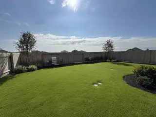 A beautifully landscaped backyard with lush green grass and wooden fencing in Nolina 45s by Taylor Morrison (Georgetown, TX).