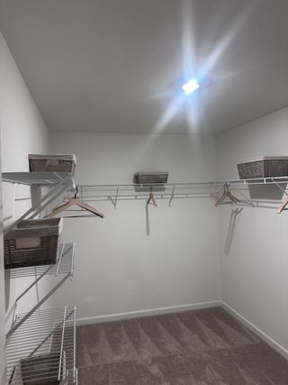 A spacious walk-in closet featuring carpet flooring, wire shelving, and ample storage space with stylish wicker baskets.