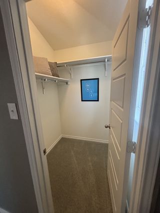 A spacious walk-in closet with carpeted flooring, high shelves, and a framed print for a touch of style.