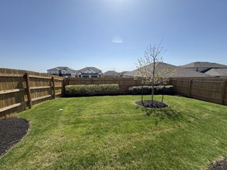 A spacious backyard with lush grass and a young tree in Palomino by D.R. Horton (Manor, TX).