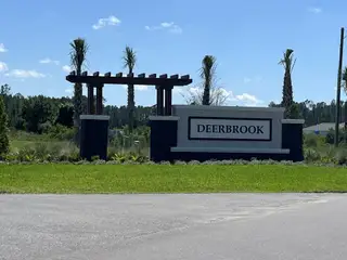 A welcoming entrance sign with palm trees greets visitors to Deerbrook by D.R. Horton in Land O' Lakes, FL.