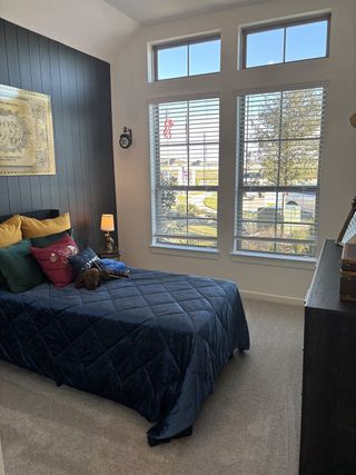 Model Home A cozy bedroom features a dark accent wall, large windows, and a plush navy bedspread, creating a warm, inviting space.