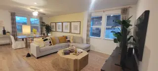 A cozy living room featuring a gray sectional, vibrant cushions, natural wood table, and decorative plants for a welcoming ambiance.