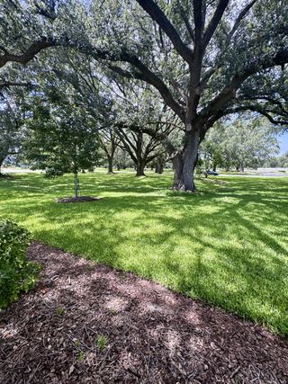A serene landscape with mature trees and lush greenery in Granary Park: Granary Park 40s by Lennar (Green Cove Springs, FL).