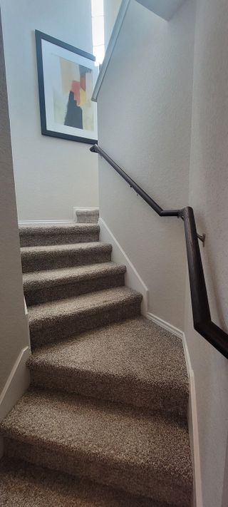 A cozy staircase with plush carpet, sleek railing, and modern art creates an inviting ascent.