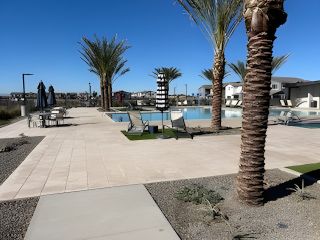 A serene pool area with tall palm trees and lounge seating in Hawes Crossing: Reflection by Lennar (Mesa, AZ).