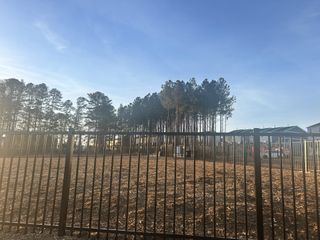 Scenic landscaped area with tall trees and modern fencing in Carolina Springs: Sterling Collection by Lennar (Apex, NC).