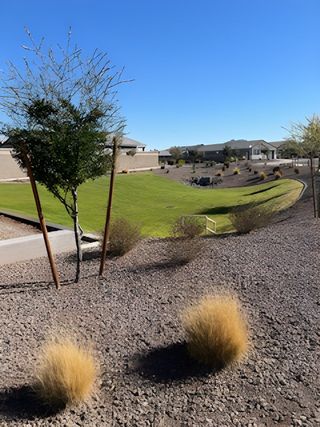 A landscaped community space with trees and greenery at McClellan Ranch - Reserve Series by Meritage Homes (Laveen, AZ).