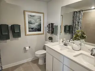 A modern bathroom featuring a double sink vanity, elegant artwork, green accents, and a stylish shower curtain.