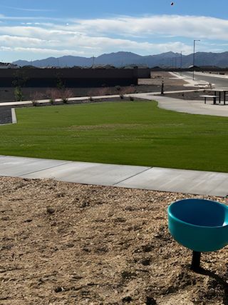 A scenic view of a developing neighborhood with a green lawn and mountain backdrop in Artisan at Asante by Taylor Morrison (Surprise, AZ).