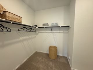 Model Home A spacious walk-in closet featuring carpeted floors, organized shelves, and storage baskets for a tidy, efficient space.