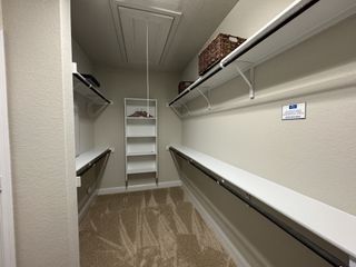A spacious walk-in closet with ample shelving, hanging space, and neutral carpeting.