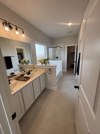 A spacious bathroom featuring a double vanity with white cabinetry, a walk-in shower with subway tile, and a built-in bathtub.