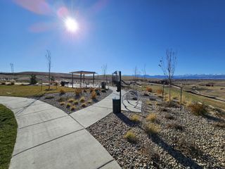 Scenic outdoor area with modern landscaping in Sunset Village: Paired Homes by Lennar (Erie, CO).