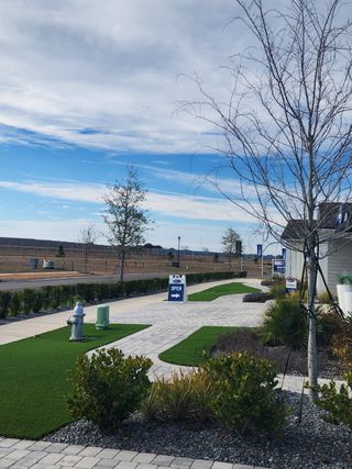 Street view A picturesque landscaped path with greenery and open house signs in Lakes at Bella Lago by Mattamy Homes (Green Cove Springs, FL).