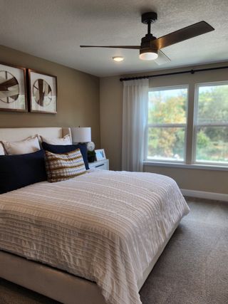 A cozy bedroom featuring a plush bed, elegant wall art, and a modern ceiling fan by large, light-filled windows.
