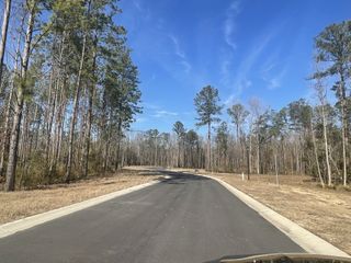 Street view A serene wooded road in Carolina Bay by Center Park Homes, Ridgeville, SC, offering nature-inspired living.