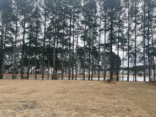 A serene view of tall pines and a tranquil pond in The Coves at Lakes of Cane Bay by Meritage Homes (Summerville, SC).