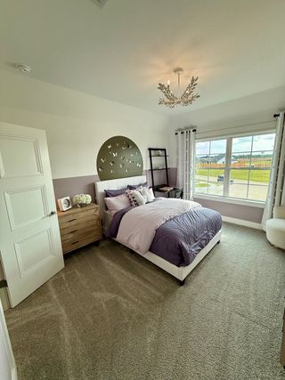 Cozy bedroom with a modern chandelier, plush carpet, and decorative butterfly wall art. Abundant natural light peeks through a large window.