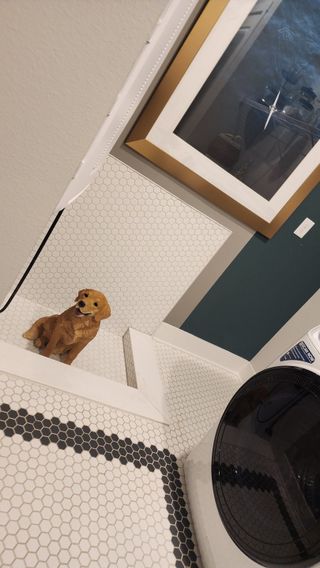 A stylish laundry room with hexagonal tile flooring, a built-in dog wash station, and elegant decor.