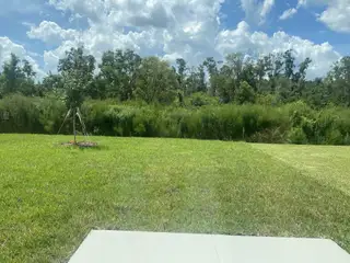 A lush green yard bordered by trees in Seasons at Marietta Cove by Richmond American Homes (Jacksonville, FL).