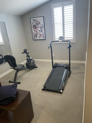 A well-equipped home gym featuring a treadmill, exercise bike, and decorative artwork on a soft carpeted floor.